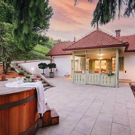 Vilma Vineyard