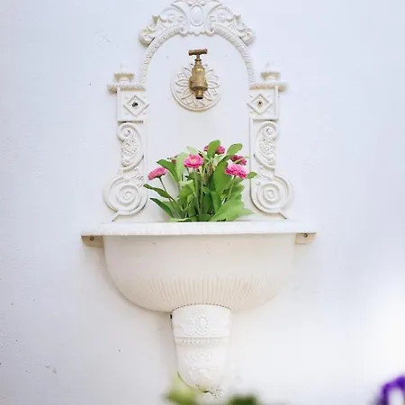 Vilma Vineyard Ferienhaus *